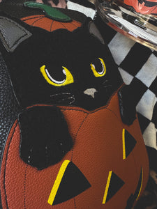 Black cat in pumpkin backpack